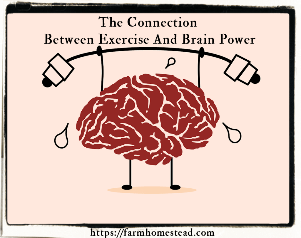 connection between exercise and brain power