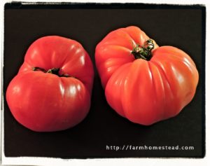 zapotec pleated heirloom tomato